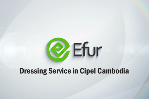 Dressing Service in Cipel Cambodia