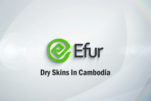 Dry Skins In Cambodia