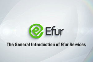 The General Introduction of Efur Services
