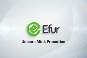 Unicorn Mink Promotion