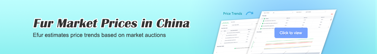 indexbanner