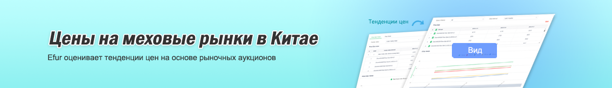 ruindexbanner